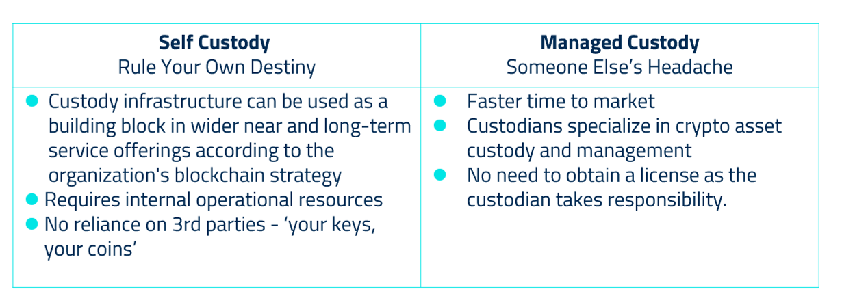 self versus managed2